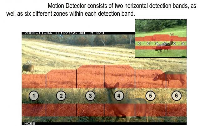 Click image for larger version. 

Name:	motion detection zones.jpg‎ 
Views:	165 
Size:	182.7 KB 
ID:	14779
