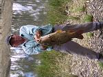 The Old Man With a large Carp