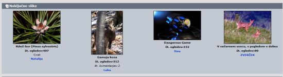 FotoGalerija