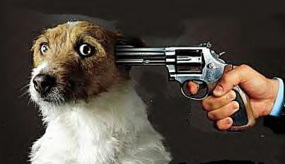 dogGun