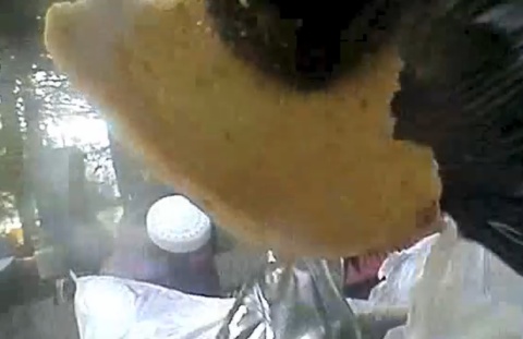 MedoKruh