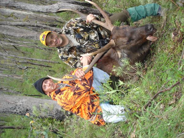 Me congratulating Boris on his 1st Sambar deer taken on the last hunt 2007.
They dont get much bigger than this. 31 7/8 x 32 3/8 inches
x 33 1/2 inch spread.