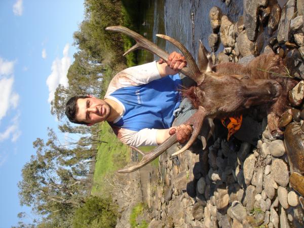 Sam"s Stag taken on the same trip.