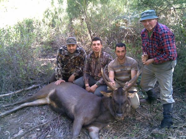 Stag taken by Leon 3 weeks ago, his 2nd deer in 2 trips.
Stag has 26inch antlers.