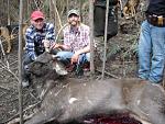 Very large body with lots of scars from fighting with other stags