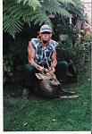 Hog Deer Stag.