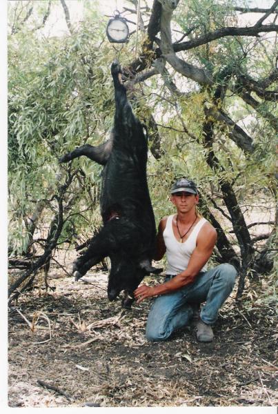The Boars Weight was 85kg