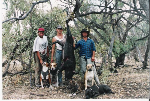 Me and the guys with Boar and Dogs.