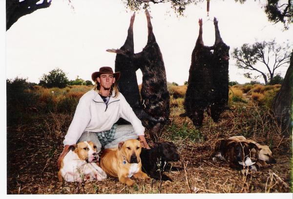 The dogs are tired after a hard day.
Pigs caught on private property New South Wales
a 7 hour drive from Melbourne.