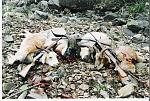 Rifles are Browning Bar in .300 win magnum 
Winchester model 94 in 30/30 
Bolt Action BSA in .270 win.