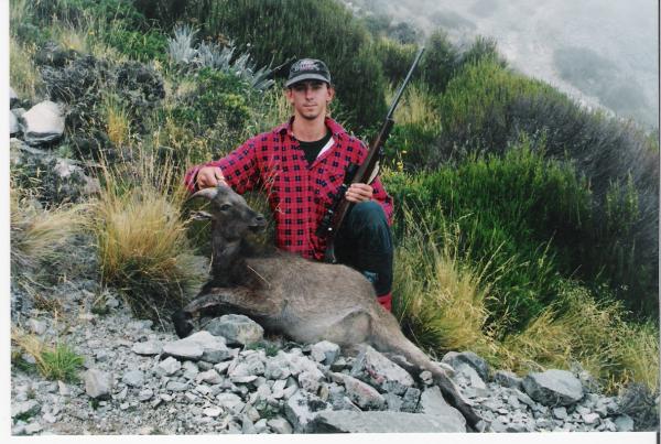 Young Himalayin Bull Thar taken by me in the South Island of New Zeland 12 years ago.
