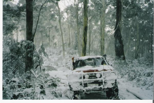More snow pics