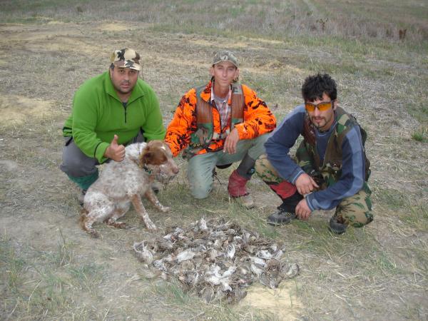 Boris Me & Arch with Quail & Bobby the Brittney Spainiel cross.
