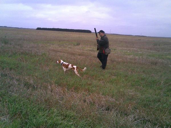 Boris with Diesel.