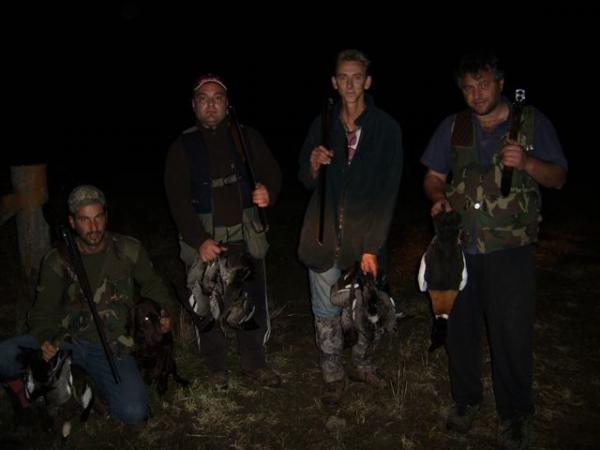 Photo of some Ducks we shot 3 months ago on a Quail trip.
Wood ducks, Grey Teal & a Mountain Duck far right.