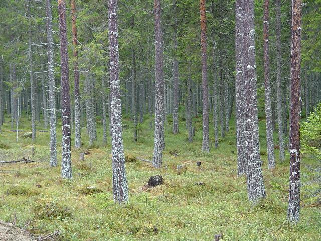 Click image for larger version.&nbsp;

Name:	DSC02335.jpg&nbsp;
Views:	361&nbsp;
Size:	435.1 KB&nbsp;
ID:	13973