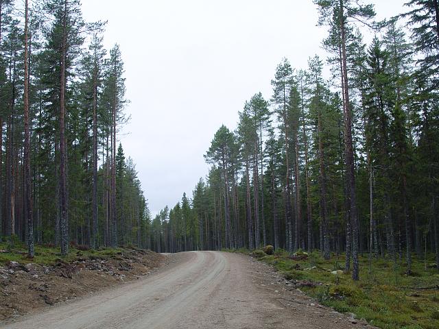 Click image for larger version.&nbsp;

Name:	DSC02333.jpg&nbsp;
Views:	371&nbsp;
Size:	324.0 KB&nbsp;
ID:	13974