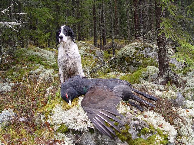 Click image for larger version.&nbsp;

Name:	DSC02406.jpg&nbsp;
Views:	587&nbsp;
Size:	472.5 KB&nbsp;
ID:	13976