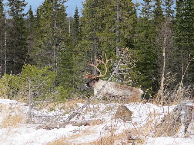 Click image for larger version.&nbsp;

Name:	IMG_0582.JPG&nbsp;
Views:	411&nbsp;
Size:	949.5 KB&nbsp;
ID:	13978