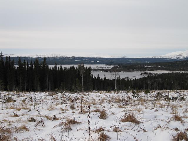 Click image for larger version.&nbsp;

Name:	IMG_0596.JPG&nbsp;
Views:	417&nbsp;
Size:	603.1 KB&nbsp;
ID:	13979