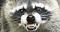 RAKUN's Avatar
