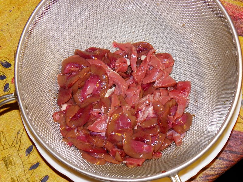 ledvicka.jpg ledvicka.jpg