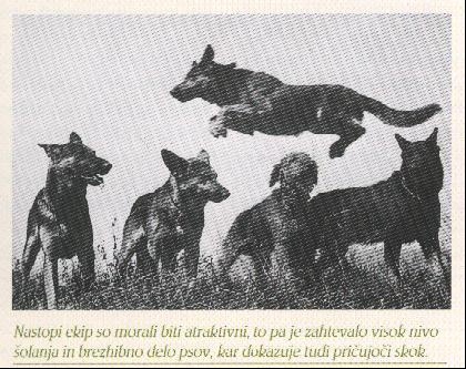ZgodovinaKzs15