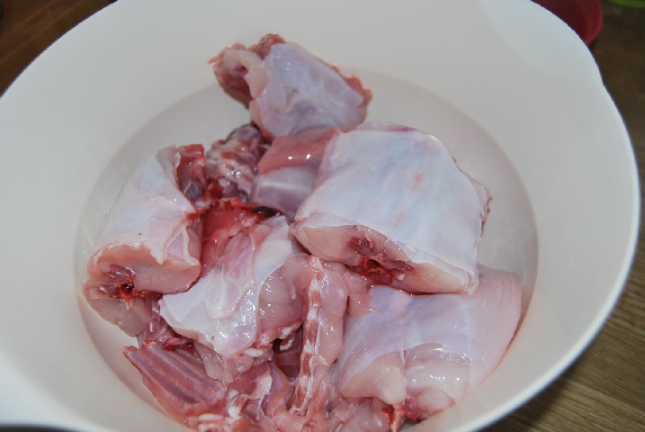 Rabbit01
